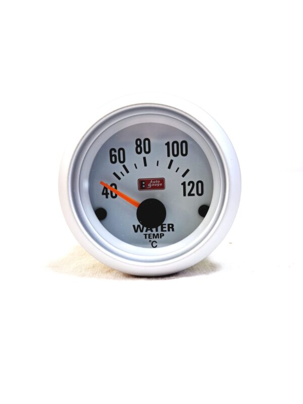 Elektronisk vattentemperatursmätare